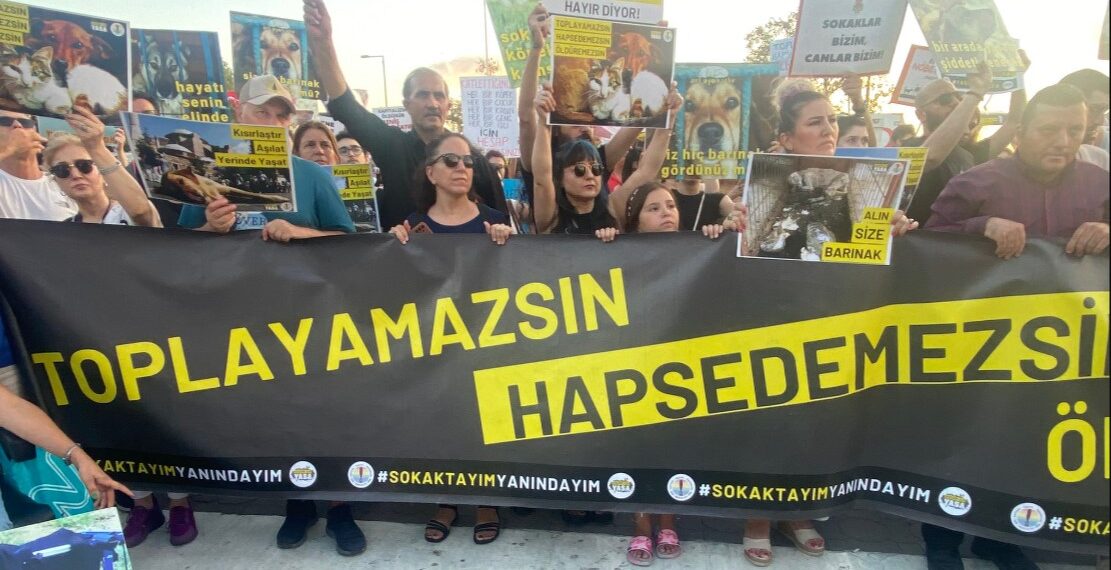 Halkın yüzde 85’i katliam yasasını reddediyor!