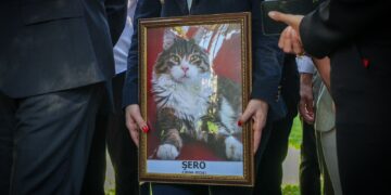 Sosyal demokrat Şero’ya veda