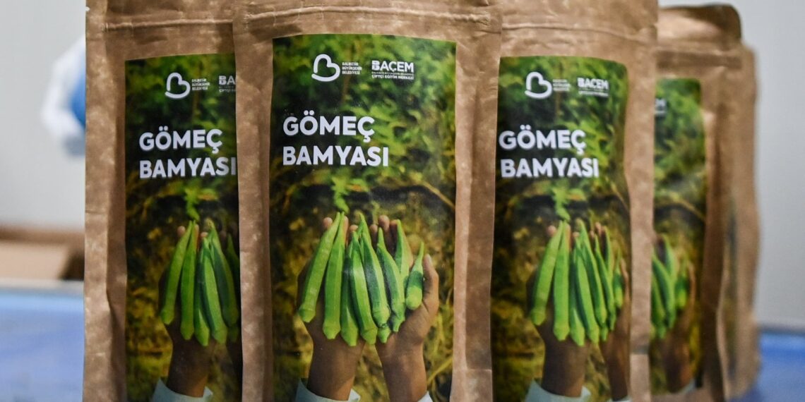 Balıkesir’de bamya ekonomisi!