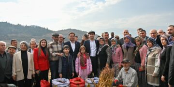 Sındırgılı susam üreticisine belediyeden büyük destek