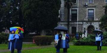 Demokrasi ve yüksek öğrenim krizi